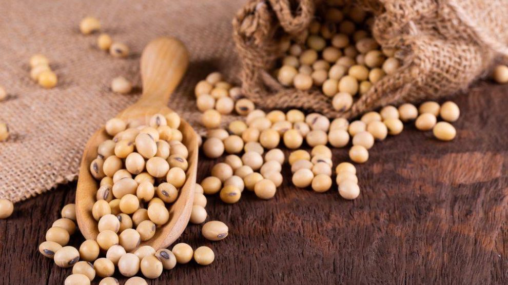 Các mặt hàng họ đậu nhiều khả năng sẽ tiếp tục giằng co trong khi chờ đợi thông tin cơ bản mới