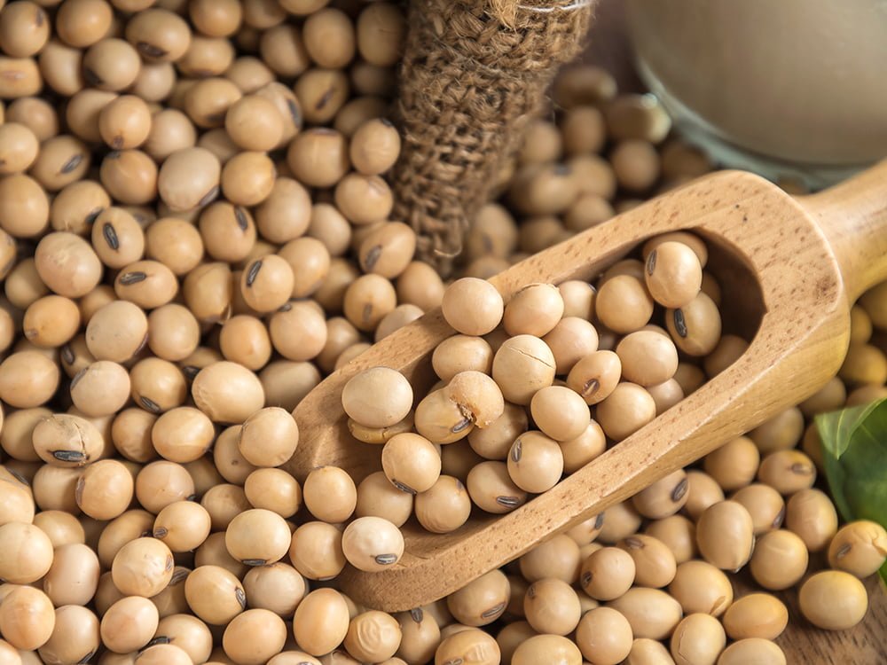 Đà giảm của đậu tương nhiều khả năng sẽ tiếp tục mở rộng sau khi giá phá vỡ vùng sideway kéo dài trong 3 tháng qua