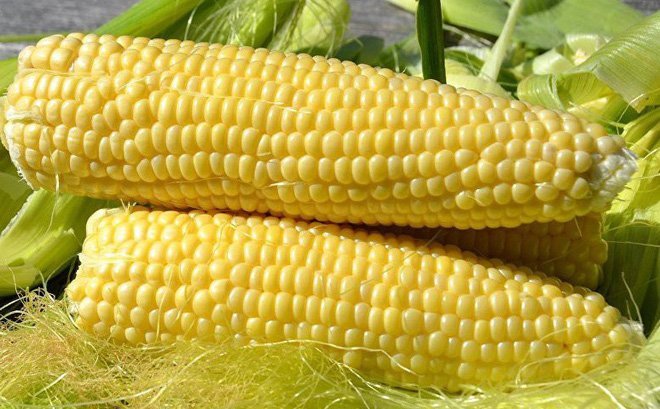 Ngành chăn nuôi và triển vọng khởi sắc sau 3 năm dịch bệnh