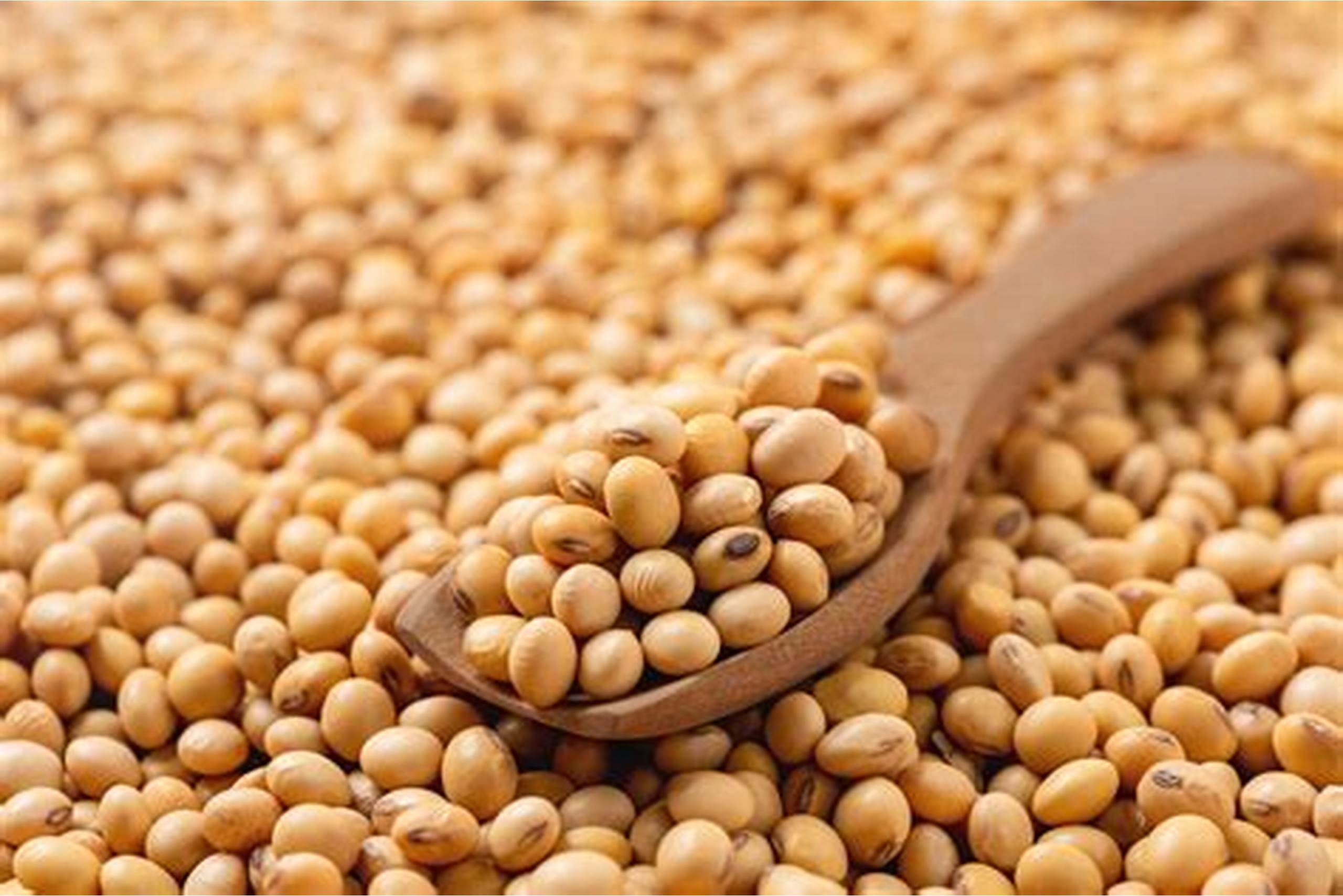 Giá hàng hóa nguyên liệu thế giới phân hóa