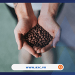 MXV-index ghi nhận mức điểm thấp nhất