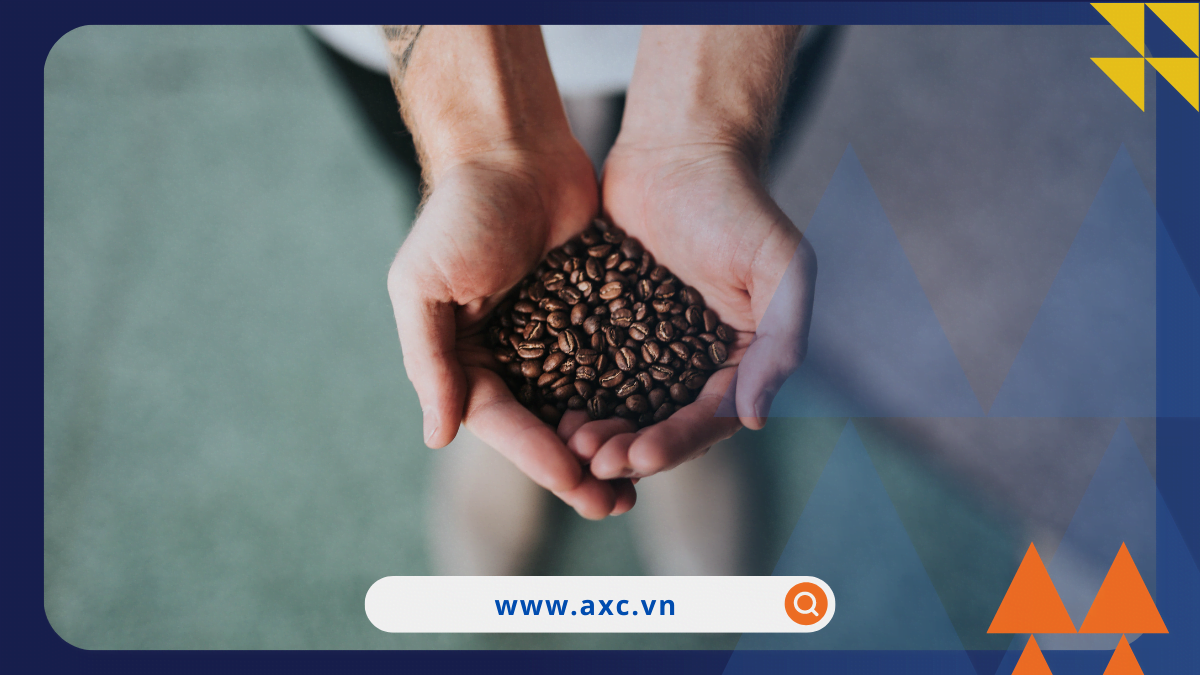 MXV-index ghi nhận mức điểm thấp nhất