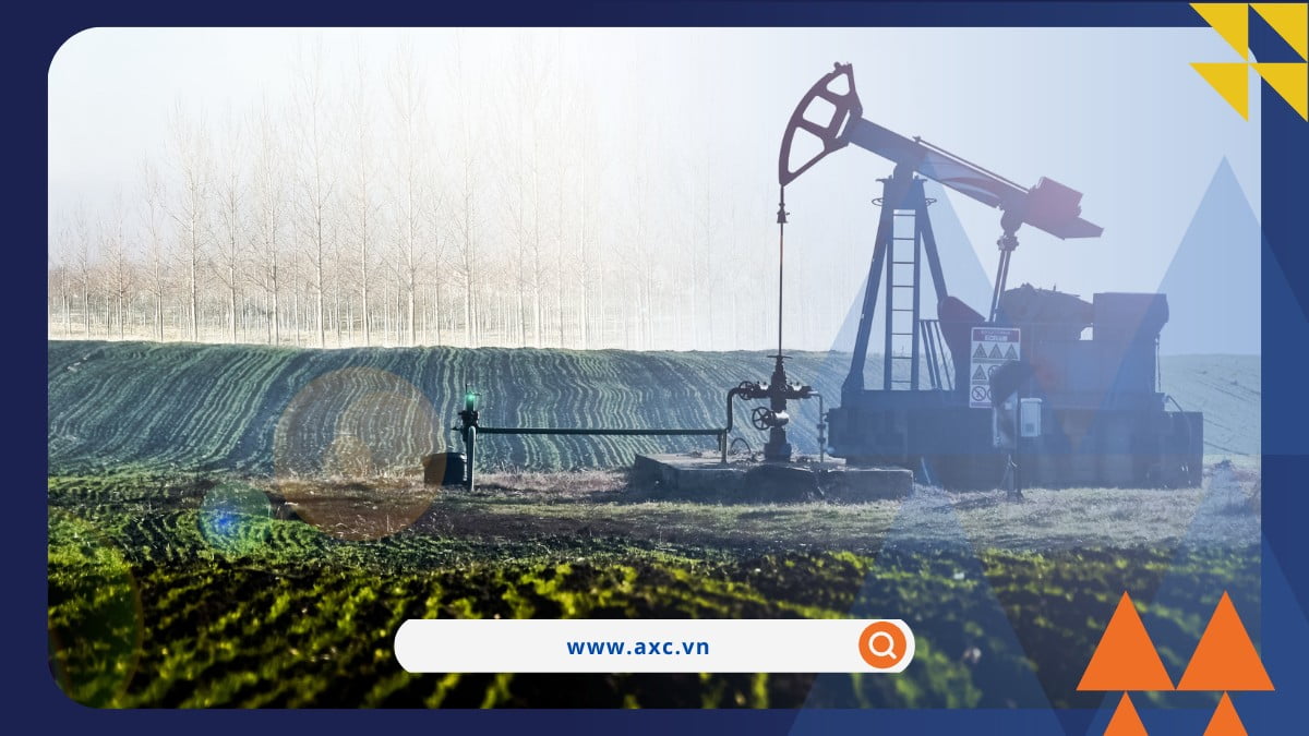 Tăng giá nông sản và năng lượng do lo ngại thiếu hụt nguồn cung