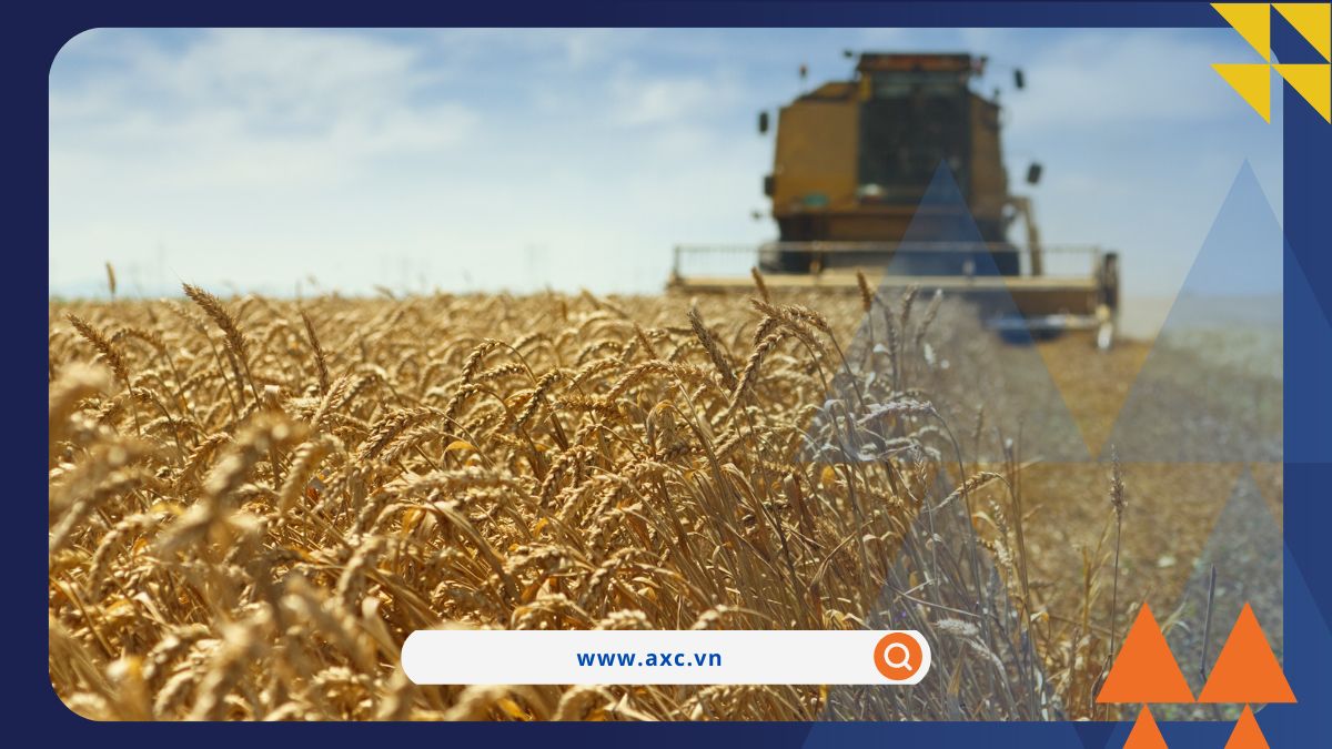 Chuỗi tăng của chỉ số hàng hóa MXV-Index tiếp tục kéo dài