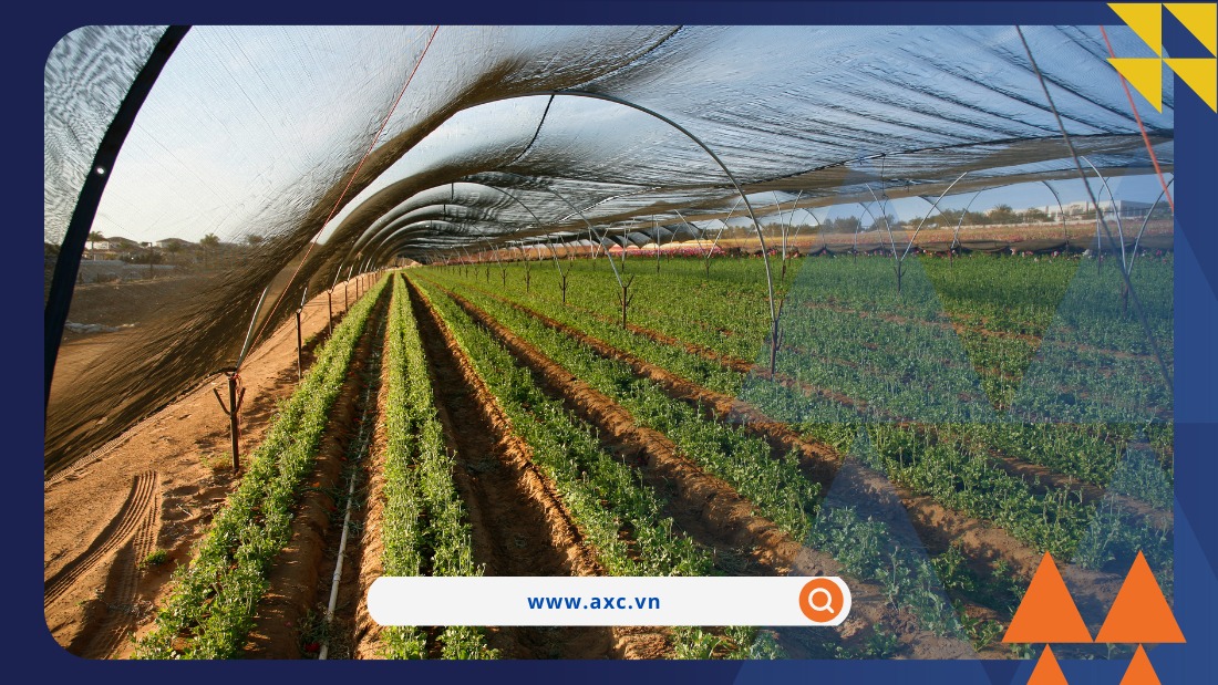 MXV-Index: Giá nhiều mặt hàng nông sản giảm