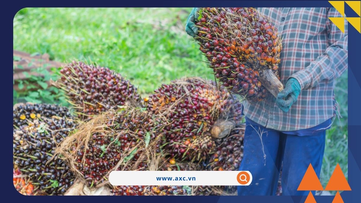 Giá hàng hóa hồi phục mạnh do lực mua áp đảo