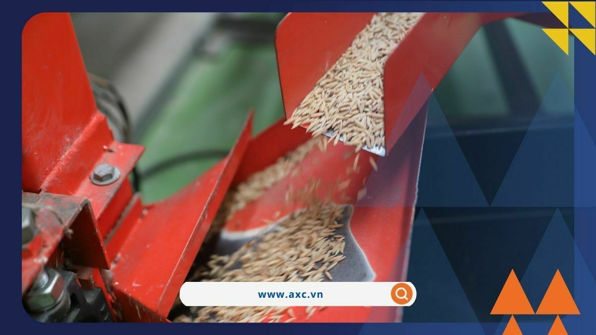 Giá háng hóa quay đầu suy yếu sau hai ngày tăng