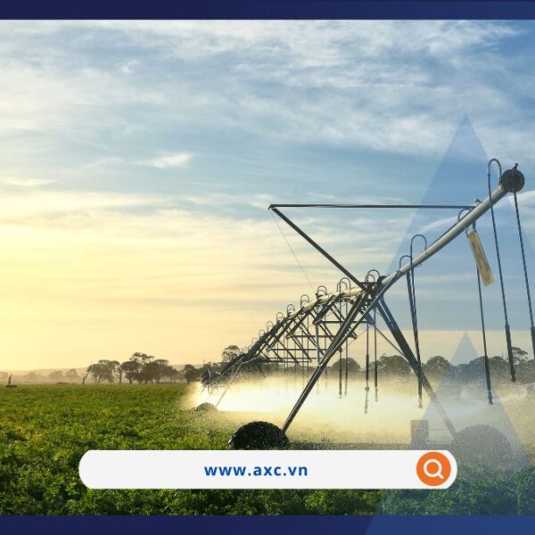 Lực bán vẫn áp đảo trên thị trường hàng hóa nguyên liệu