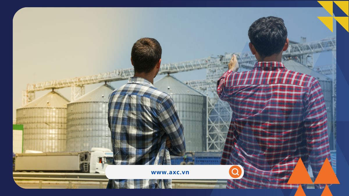 Dòng tiền ‘chảy’ mạnh vào nhóm nông sản và năng lượng