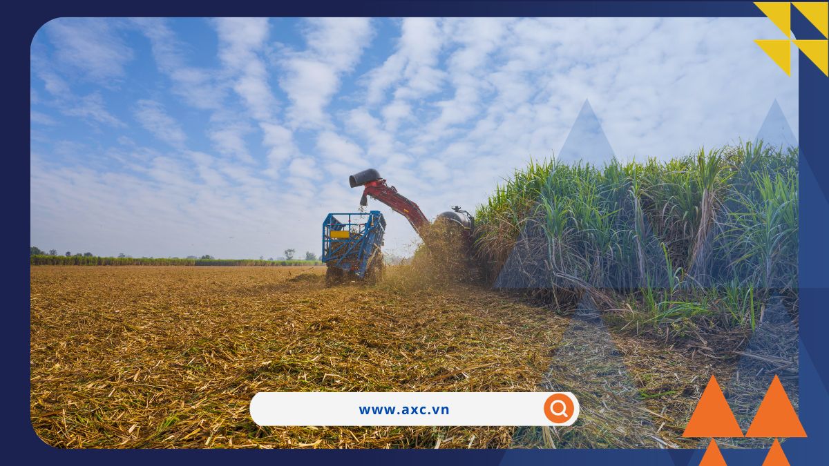 Lực mua dẫn đầu thị trường hàng hóa nguyên liệu