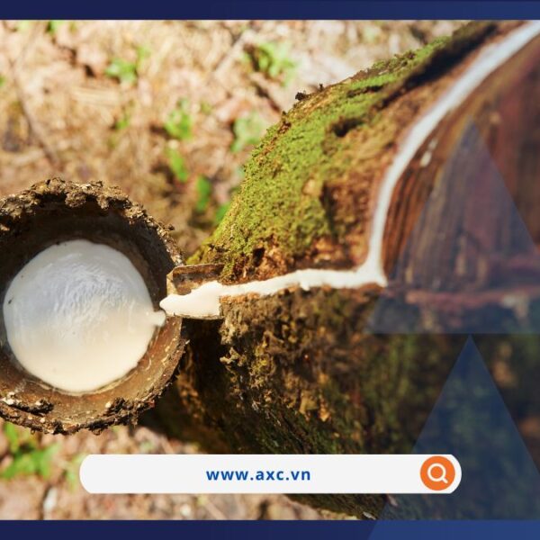 Nông sản dẫn đầu xu hướng thị trường hàng hóa