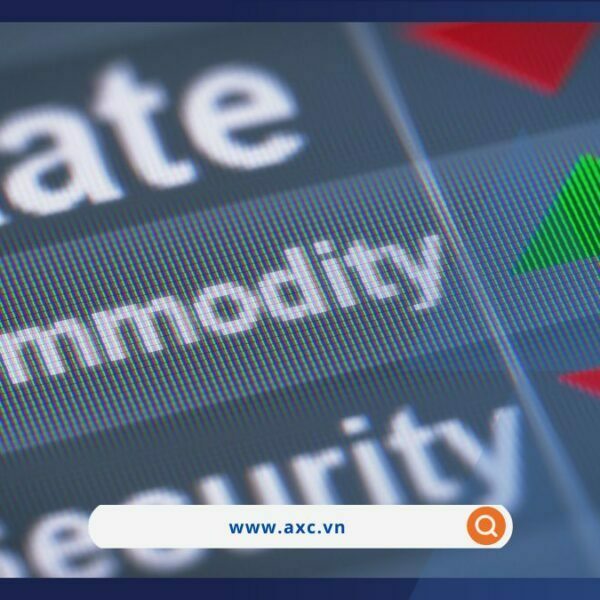 Lực mua tích cực đẩy MXV-Index tăng 0,29%