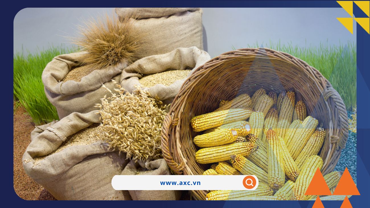 MXV-Index đánh mất 1,23% xuống 2.221 điểm