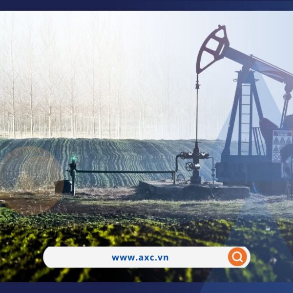 Dòng tiền đầu tư ‘rót’ mạnh vào nhóm năng lượng và kim loại