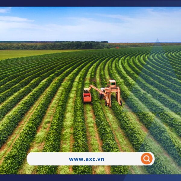 Bản tin thị trường hàng hóa