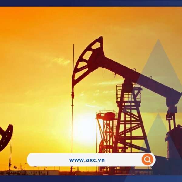 Giá dầu tăng mạnh, sắc đỏ áp đảo bảng giá nông sản