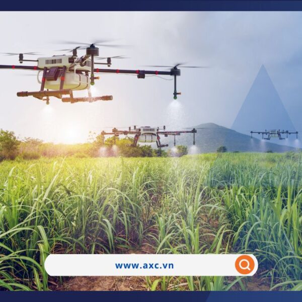 Đồng USD mạnh gây sức ép lên giá hàng hóa nguyên liệu thế giới