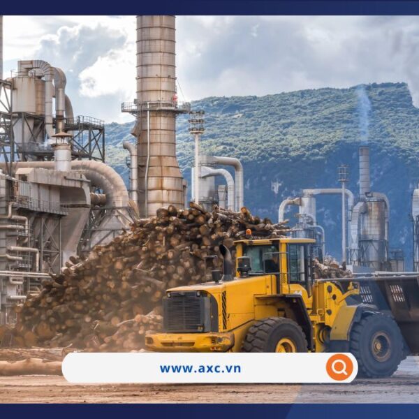 Giá năng lượng và kim loại đồng loạt tăng mạnh