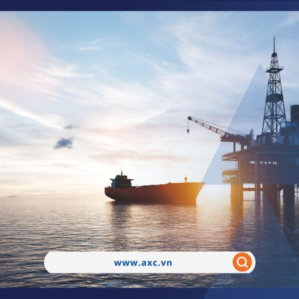 Thị trường hàng hóa khởi động tuần mới bằng lực mua tích cực