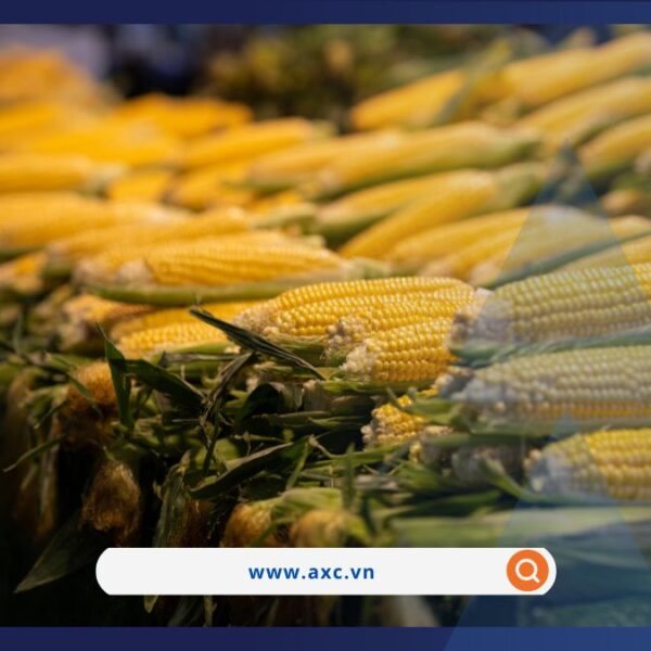 Thị trường hàng hóa nguyên liệu thế giới tăng giá trở lại