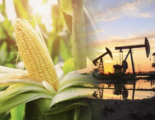 Thị trường hàng hóa nguyên liệu diễn biến phân hoá