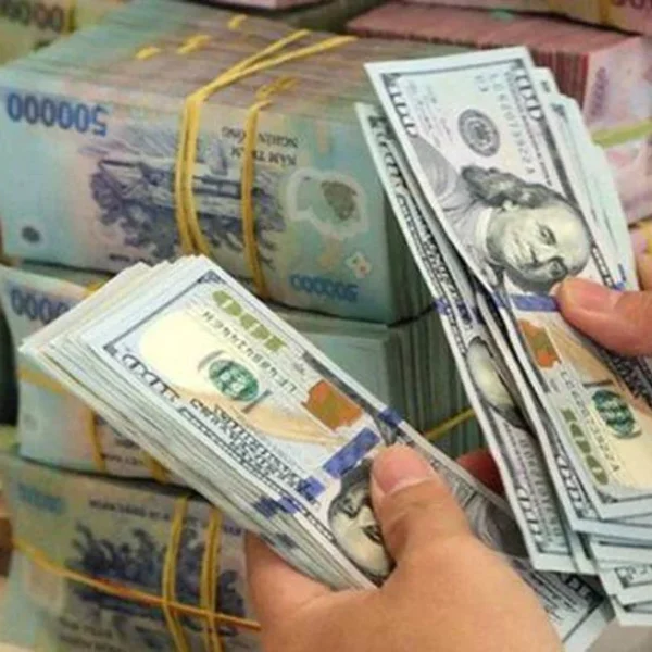Qua 1 đợt ‘sốc’ tỷ giá, nhiều doanh nghiệp báo lỗ lớn