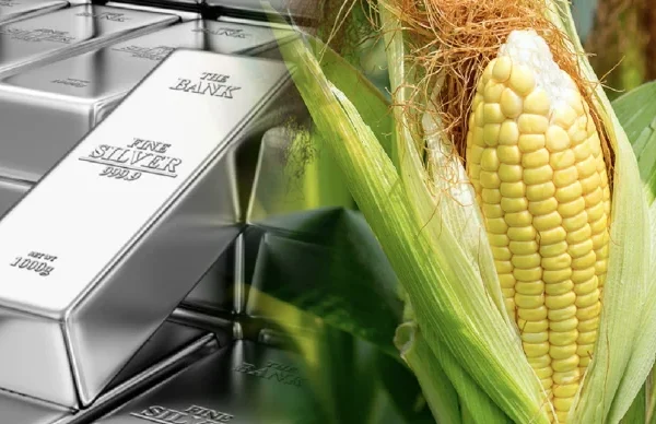 Chỉ số MXV-Index dứt chuỗi giằng co