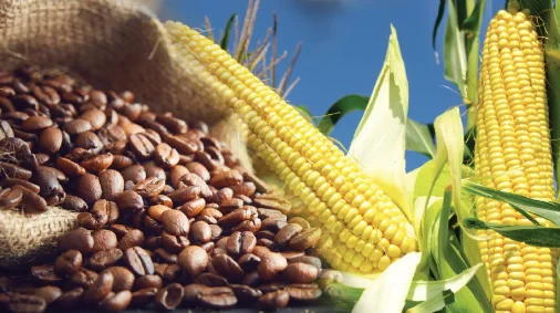 Chỉ số MXV-Index về mức thấp nhất trong vòng 4 tháng qua